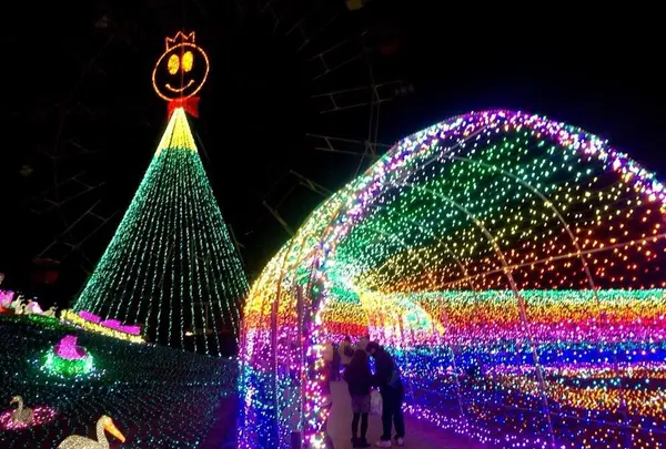 東京ドイツ村の写真・動画_image_108963