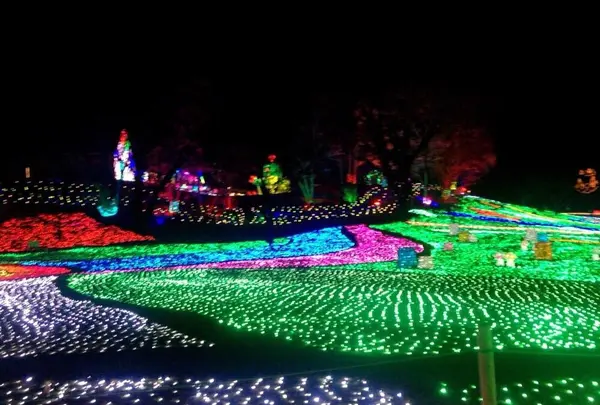 東京ドイツ村の写真・動画_image_108965