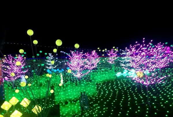 東京ドイツ村の写真・動画_image_108966