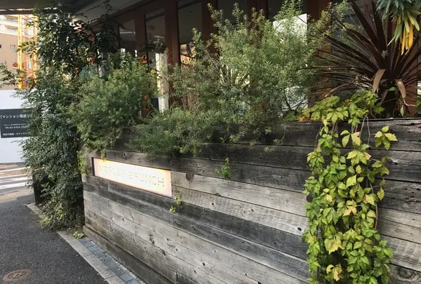 マーサーブランチ MERCER BRUNCHの写真・動画_image_109274