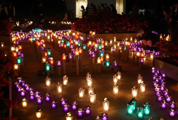 江の島サムエル・コッキング苑の写真・動画_image_109314