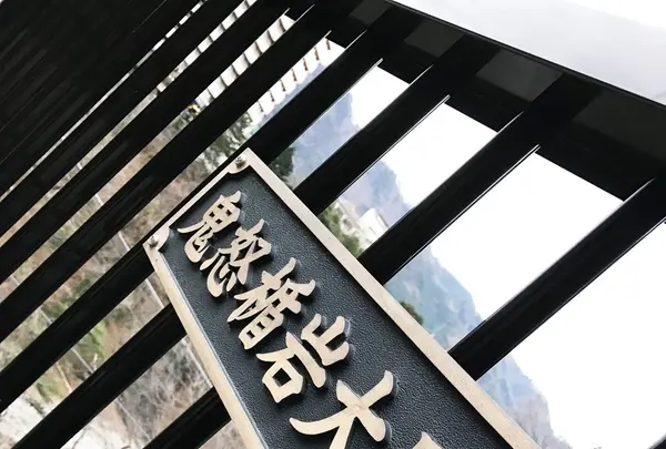 鬼怒楯岩大吊橋の写真・動画_image_109347