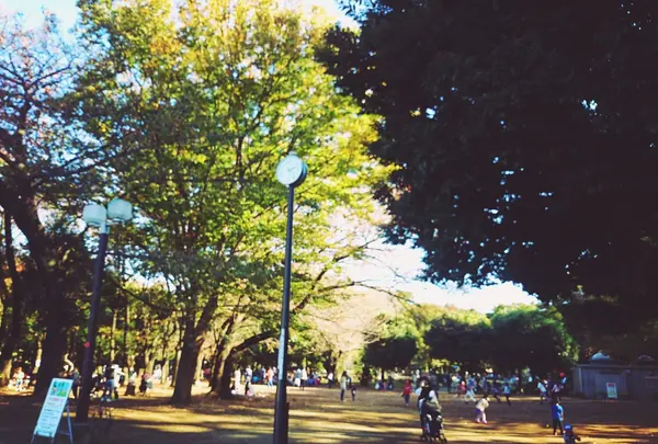 世田谷公園の写真・動画_image_109355