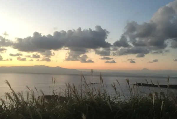 大島温泉　元町浜の湯の写真・動画_image_109476