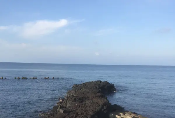 大島温泉　元町浜の湯の写真・動画_image_109478