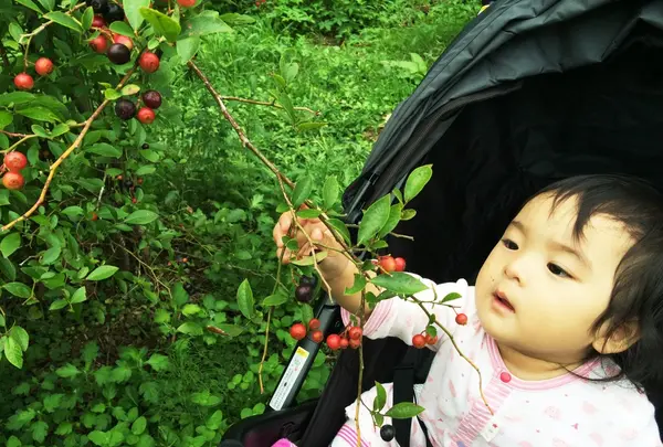 あっぷるみんとハーブ農園・自然食レストラン 風のもりの写真・動画_image_109481