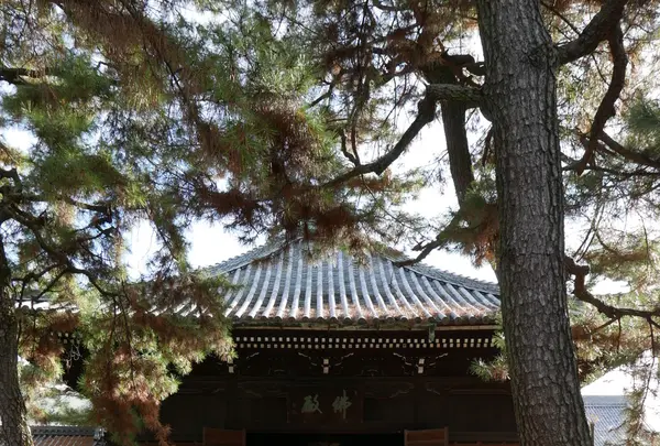 徳源寺の写真・動画_image_109484