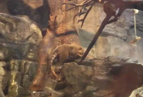 海遊館の写真・動画_image_109536