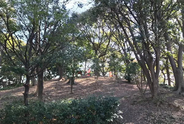 茶臼山（天王寺公園）の写真・動画_image_109559