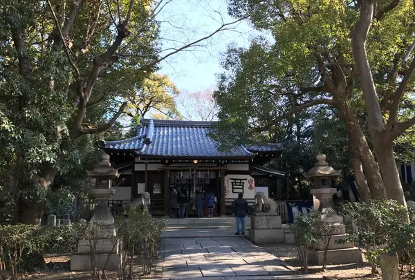 安居神社の写真・動画_image_109564