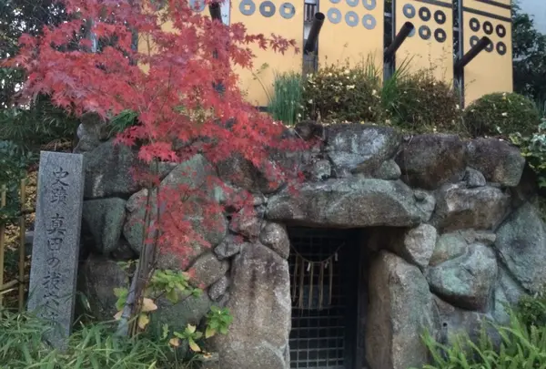 三光神社の写真・動画_image_109569