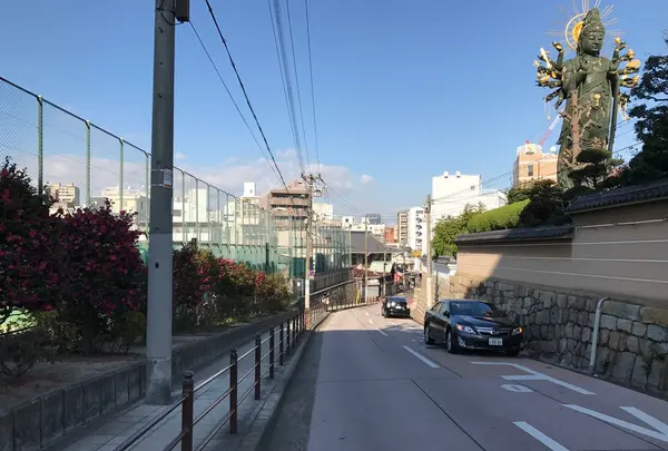 大阪明星学園（学校法人）の写真・動画_image_109594