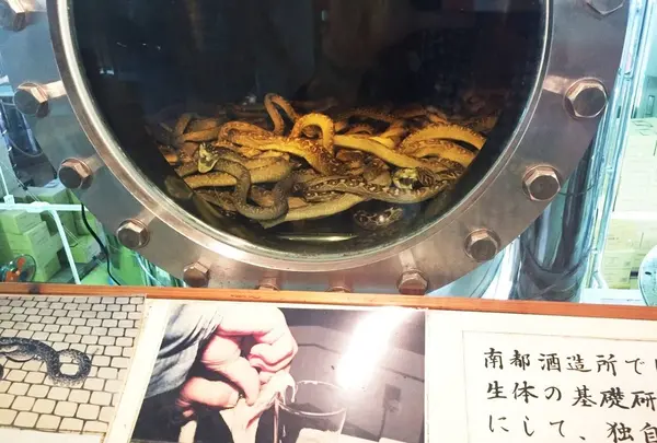 おきなわワールド　文化王国・玉泉洞の写真・動画_image_109630