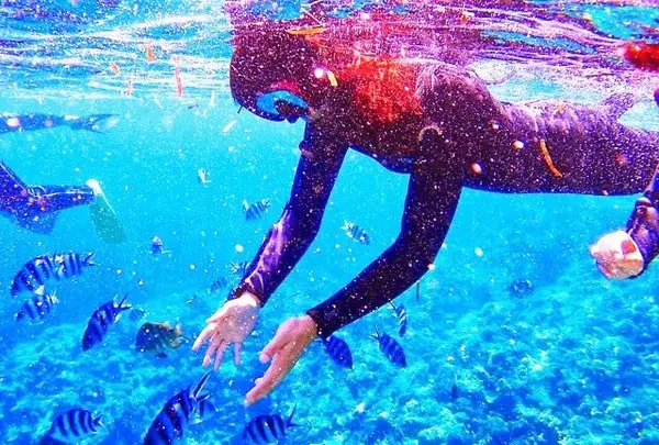 青の洞窟の写真・動画_image_109643