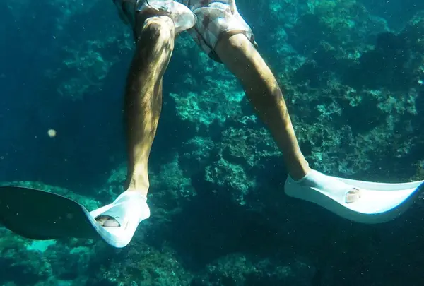 青の洞窟の写真・動画_image_109646