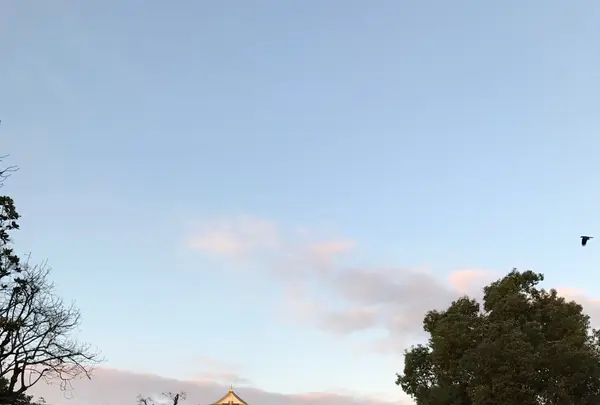 大阪城公園の写真・動画_image_109685