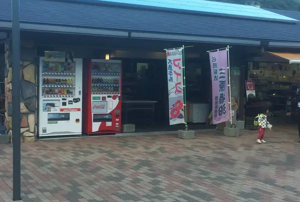 都立大島公園椿園の写真・動画_image_109693