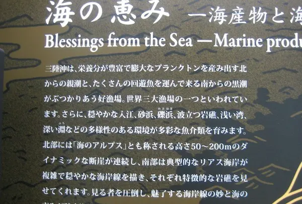 浄土ヶ浜の写真・動画_image_109735