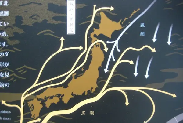 浄土ヶ浜の写真・動画_image_109736