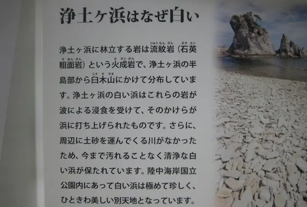 浄土ヶ浜の写真・動画_image_109738