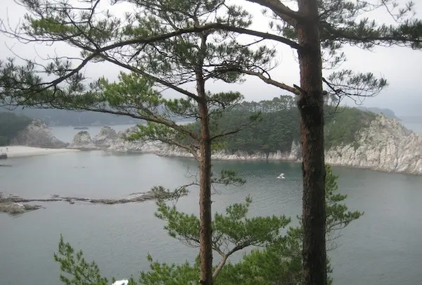 浄土ヶ浜の写真・動画_image_109742