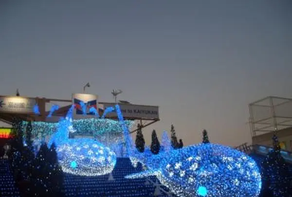海遊館の写真・動画_image_109777