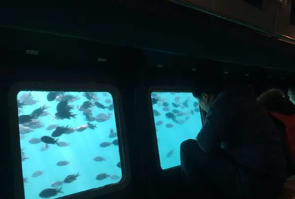 産直センターうらりの写真・動画_image_109813