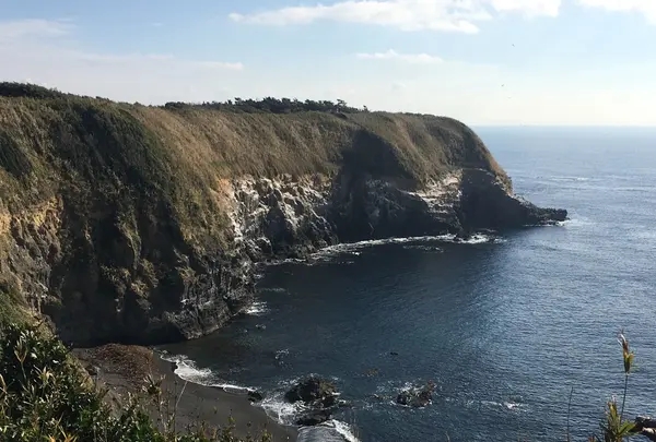 城ヶ島公園の写真・動画_image_109816