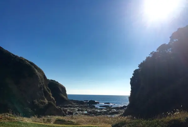 剱埼灯台の写真・動画_image_109819