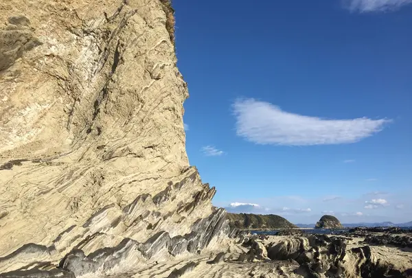 盗人狩の写真・動画_image_109820