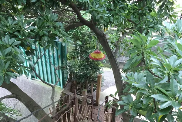なんじゃもんじゃカフェの写真・動画_image_109966