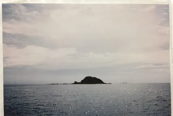 端島 （軍艦島）の写真・動画_image_109972