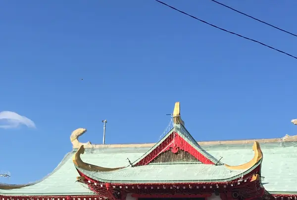 長谷寺の写真・動画_image_109994