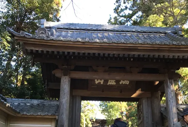 円覚寺の写真・動画_image_110082