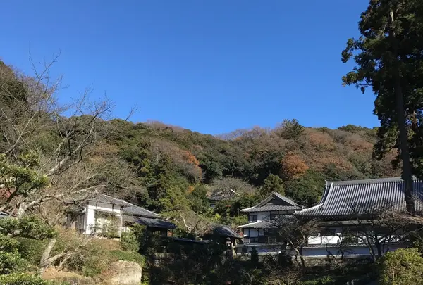 円覚寺の写真・動画_image_110085
