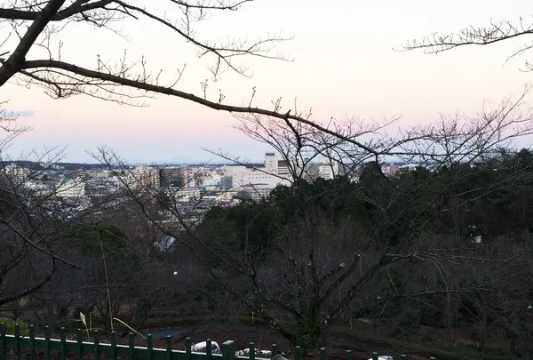 美杉台公園の写真・動画_image_110151