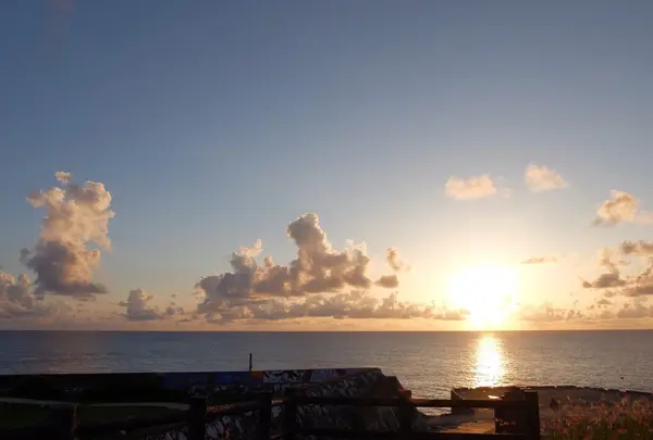 西港の写真・動画_image_110161