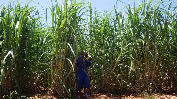 地底湖の写真・動画_image_110172