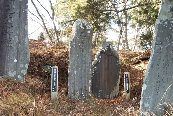 雄島の写真・動画_image_110285
