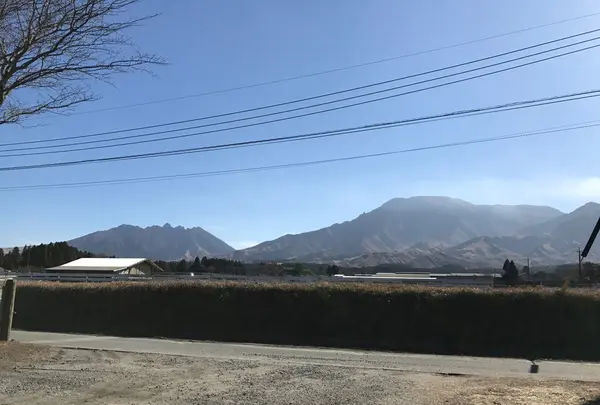 もちとこの写真・動画_image_110306
