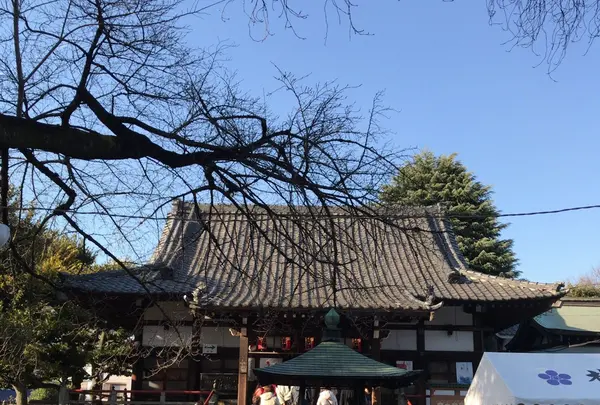 梅照院（新井薬師）の写真・動画_image_110367