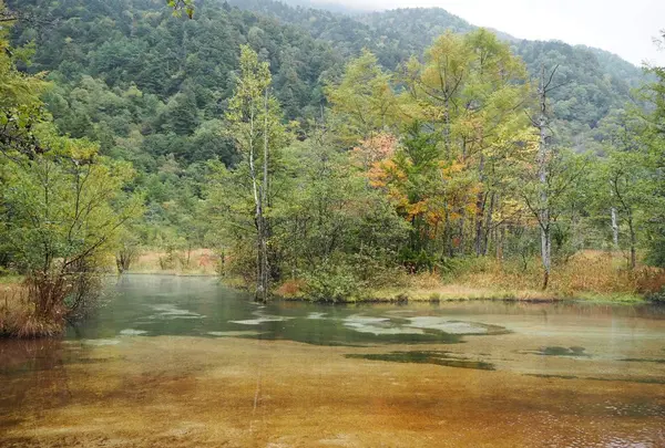 上高地の写真・動画_image_110373