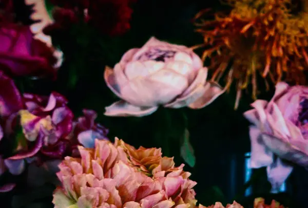 TAKUMI flowerの写真・動画_image_110410