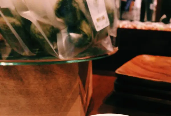 ｃｈａｇａｍａの写真・動画_image_110412