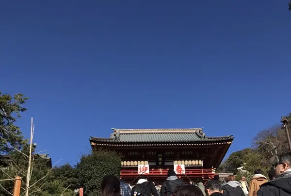 鶴岡八幡宮の写真・動画_image_110426