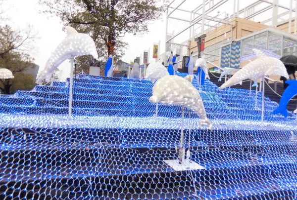 海遊館の写真・動画_image_110565