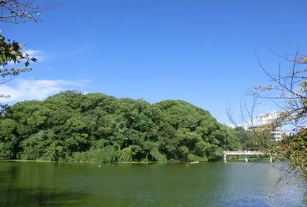 茶臼山（天王寺公園）の写真・動画_image_110579