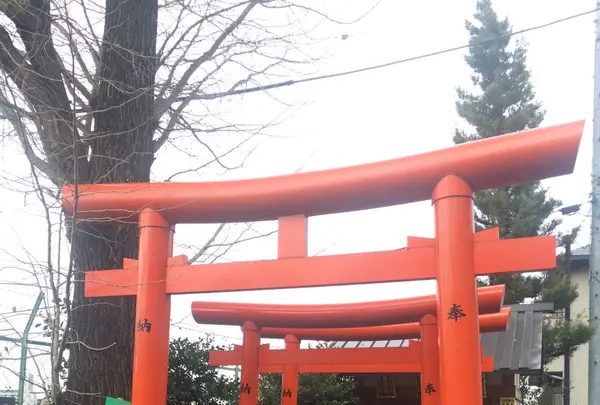 赤城神社の写真・動画_image_110690