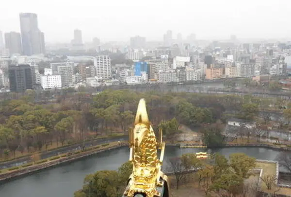 大阪城の写真・動画_image_110691