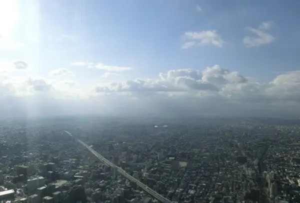 SKY GARDEN 300の写真・動画_image_110824